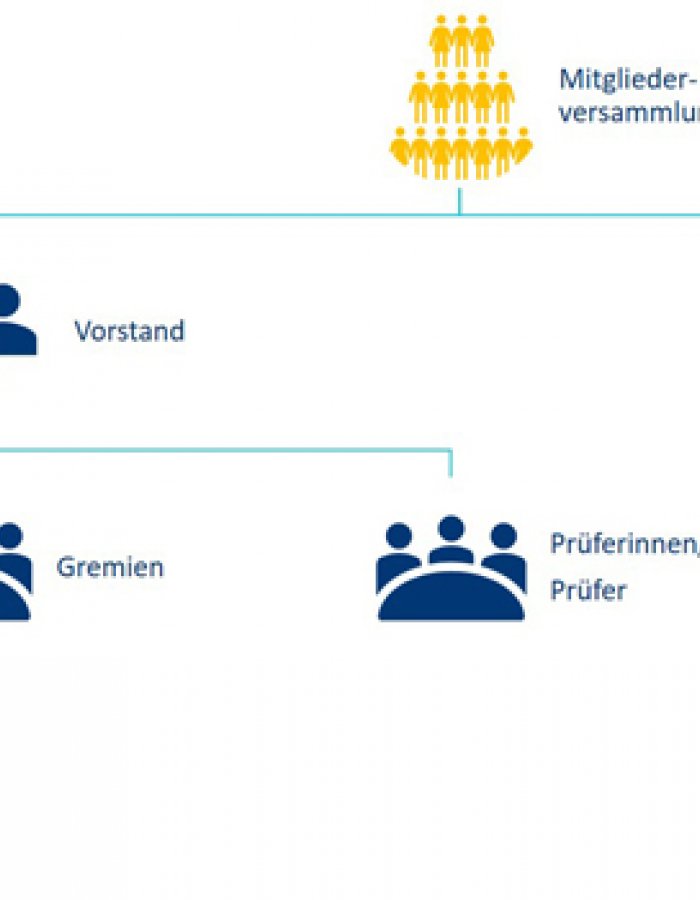 organigramm
